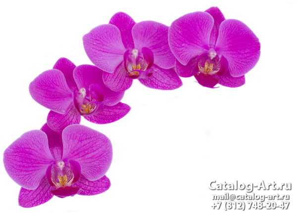 Натяжные потолки с фотопечатью - Розовые орхидеи 83